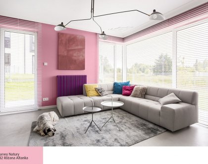 Jak ożywić wnętrze? Zobacz inspiracje kolorów ścian
