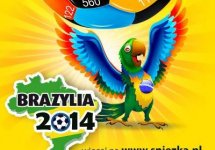 Mundial_Brazylia_infografika_okmaa.jpg