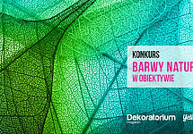 fot_konkurs_Dekoratorium_uchwyc_kolory_lata_w_obiektywie_i_wygrywaj.jpg