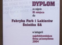 Śnieżka wśród najefektywniejszych....