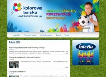 Strona internetowa projektu „Kolorowe Boiska …czyli Szkolna Pierwsza Liga”