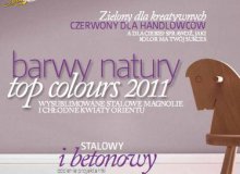 Kolorowy świat „Dekoratorium”