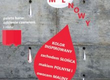 Barwna rywalizacja rozstrzygnięta