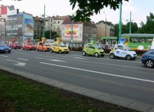 Kolorowe Smarty w Barwach Natury