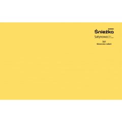 Śnieżka Satynowa – Kolor do testowania