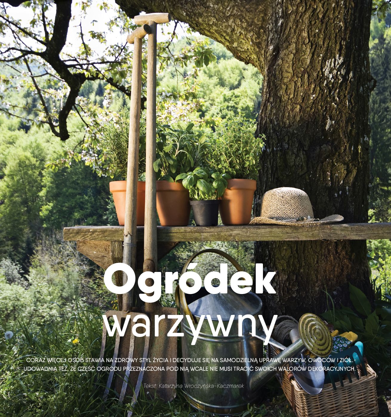 ogrodek warzywny